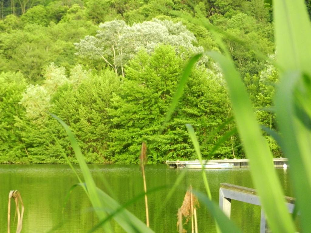 Gîte les Platanes Sainte-Helene-du-Lac Extérieur photo